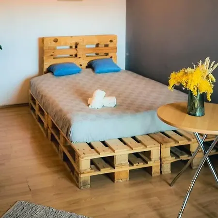 Apartment Studio Miro